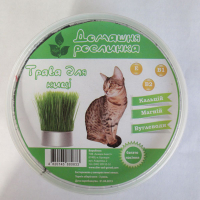 Трава для котів купить