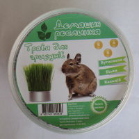 Трава для гризунів купить