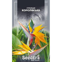 Стреліція королівська кімнатна Seedera, 5 шт. купить