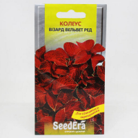 Колеус Візард Вельвет Ред Seedera, 10 шт купить