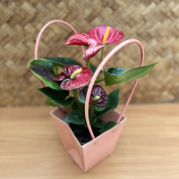 Корзинка из кортона купить