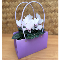 Кошик з картону купить