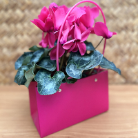 Кошик з картону купить