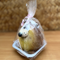 Трав'янчик Iжак сидячий купить