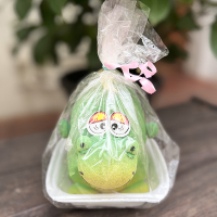 Трав'янчик Дракоша купить