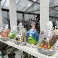 Трав'янчик Пингвин купить