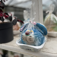 Трав'янчик Заець купить