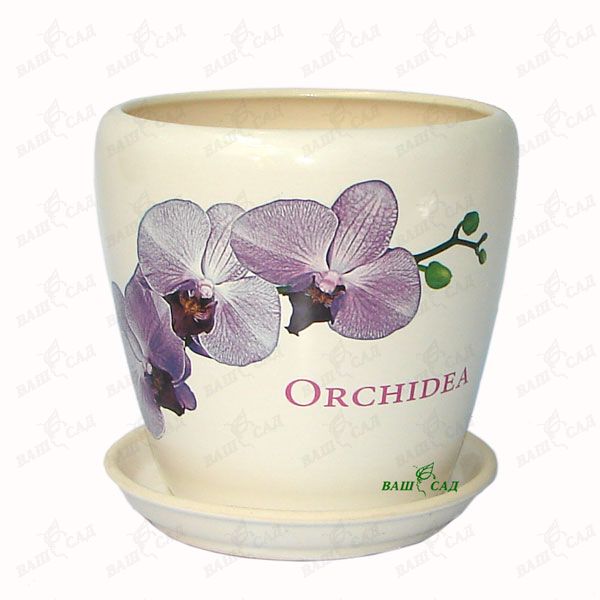 Грация №4 белый Орхидея купить 