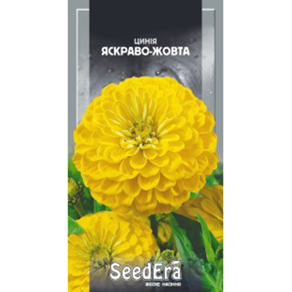 Цинния высокорослая элегантная ярко-желтая Seedera, 0,5 г купить 