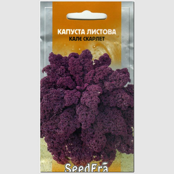 Капуста листова Кале Скарлет фіолетова Seedera 0,25г купить 