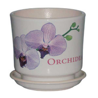 Мальва №2 орхидея купить