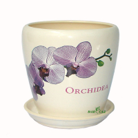 Грация №2 белый Орхидея купить