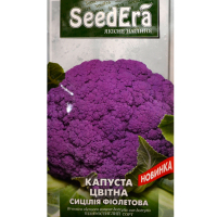 Капуста цветная Сицилия фиолетовая Seedera 0,5г купить