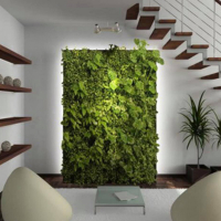 Фитодизайн: создание композиции из комнатных растений купить