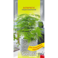 Аспарагус декоративний пушистоперистий SeedEra 0,1г купить