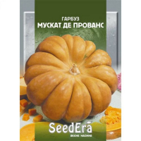 Гарбуз Мускат де прованс Seedera 20г купить