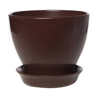 Ксения глянец капучино купить