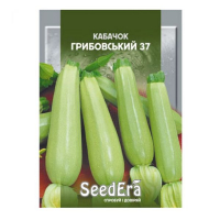 Кабачок Грибовський 37 Seedera, 20 г купить