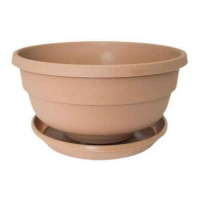 Фиалка D145мм какао+поддон цены в магазине Ваш Сад Фиалка D145мм какао+поддон купить