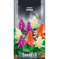 Сальвія блискуча суміш Seedera, 0,2 г купить