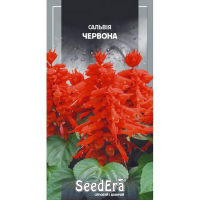 Сальвія блискуча червона Seedera, 0,1 г купить