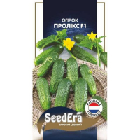 Огірок Пролікс F1 Seedera Profi, 10 шт купить