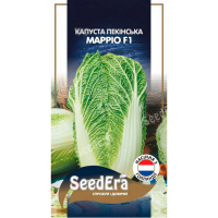 Капуста пекинская Марио F1 Seedera, 20 шт купить