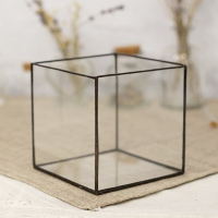 Флорарiум б/н,куб ,100*100*100 купить