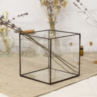 #Флорарiум б/н,куб ,70*70*70 купить