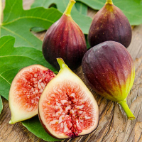 Інжир Рожевий купить